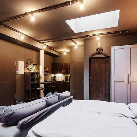 Salsa Apartment Munster (North Rhine-Westphalia)